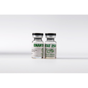 Testosterone Enanthate Dragon Pharma